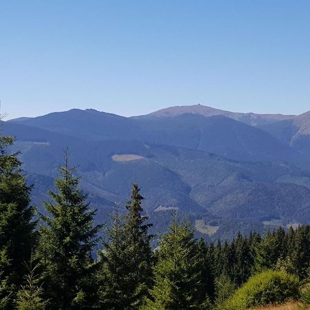 Міні Котедж Verkhovyna Exterior photo